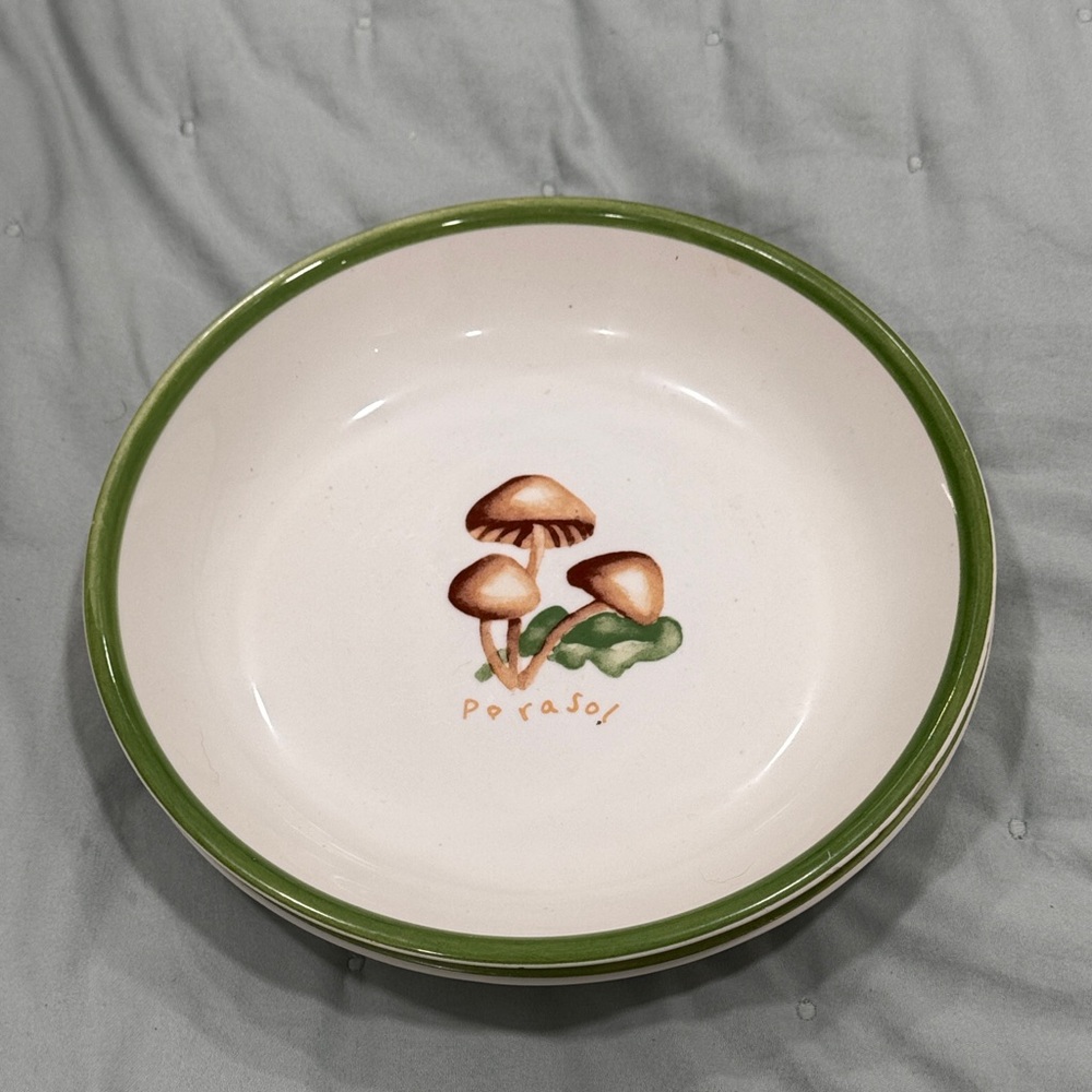 Pottery Barn Made in Italy Ceramic bowls (2)